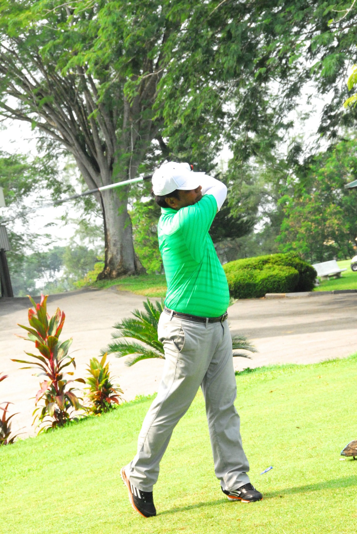 PRO15 157 GOLF DSC 0397.JPG